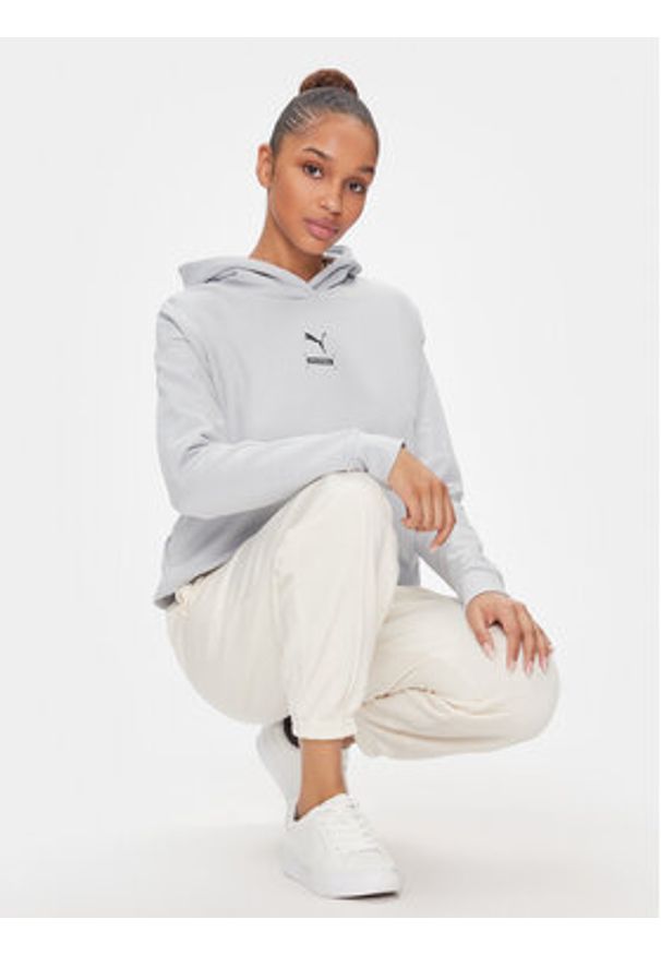 Puma Bluza 67003380 Szary Regular Fit. Kolor: szary. Materiał: bawełna
