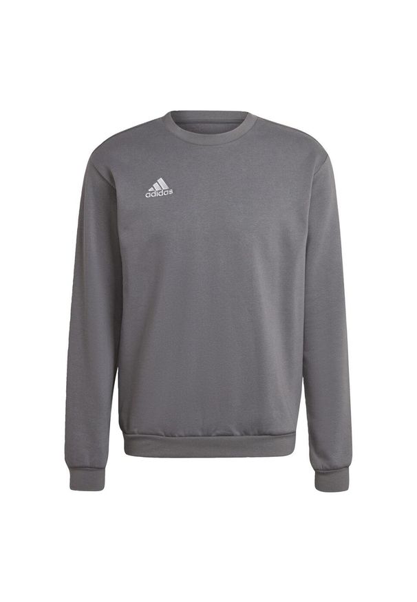 Adidas - Bluza adidas Entrada 22. Kolor: szary. Materiał: materiał. Sport: fitness, piłka nożna