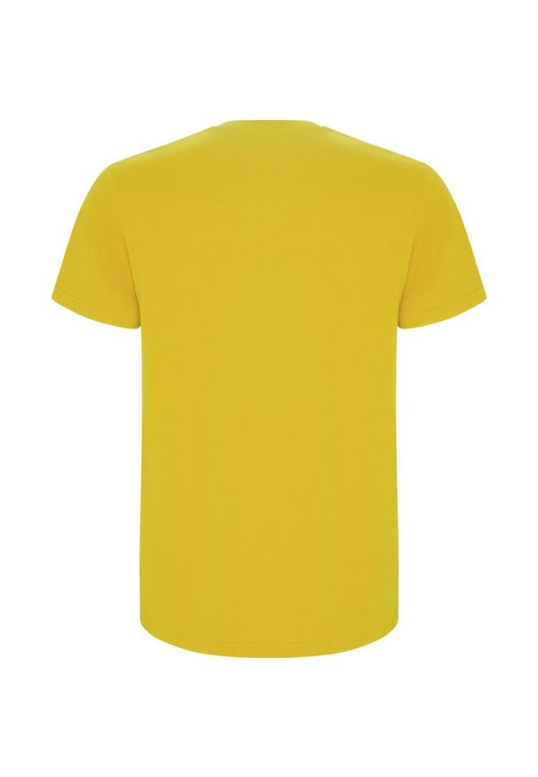 ROLY - Męska Koszulka Stafford. Kolor: żółty. Sport: turystyka piesza