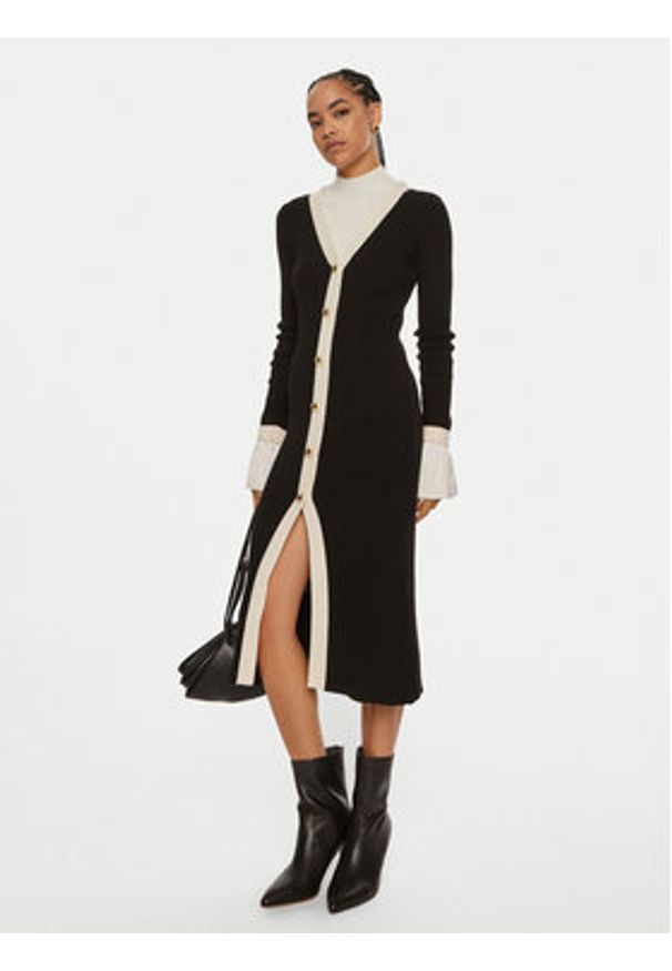 Luisa Spagnoli Sukienka dzianinowa Microfilm 58384 Czarny Slim Fit. Kolor: czarny. Materiał: wełna