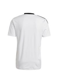 Adidas - Tiro 21 Training t-shirt 590. Kolor: biały. Materiał: jersey