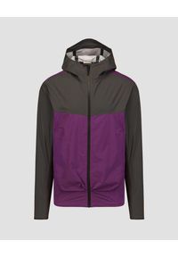 Kurtka męska Dolomite Pelmo Hooded 2.5L. Kolor: szary