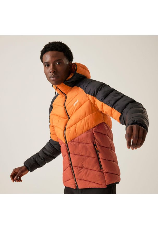 Regatta - Męska kurtka z kapturem Dalent na wędrówki z przegrodami. Typ kołnierza: kaptur. Kolor: pomarańczowy. Materiał: puch. Sport: turystyka piesza