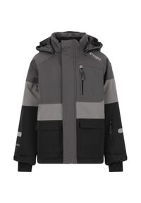 ZigZag - Dziecięca kurtka narciarska Zigzag Taylora W-PRO 15000. Kolor: czarny. Sezon: zima. Sport: narciarstwo #1