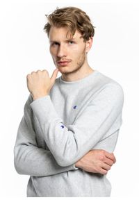 Bluza Champion Premium Crewneck Sweatshirt (214676-EM004). Kolor: szary. Materiał: materiał. Styl: sportowy, elegancki