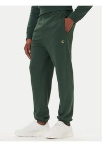 Calvin Klein Jeans Spodnie dresowe LV04RD241G Zielony Regular Fit. Kolor: zielony. Materiał: bawełna #1