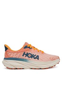 HOKA - Buty do biegania Hoka. Kolor: szary