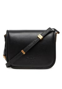 Pinko - PINKO Torebka Love Box Bag Fl Mini 104297 A26L Czarny. Kolor: czarny. Materiał: skórzane #6