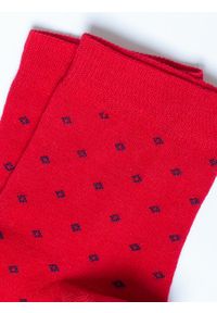Big-Star - Skarpety damskie bawełniane czerwone Alva 603. Kolor: czerwony. Materiał: bawełna