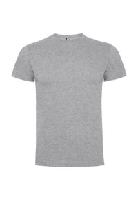 ROLY - Koszulka Dziecięca Dogo Premium Z Wiskozy. Kolor: szary. Materiał: wiskoza. Sport: turystyka piesza #1