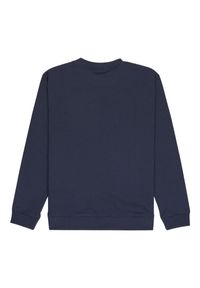 Quiksilver - Bluza dla Chłopcy BASIC. Okazja: na co dzień. Kolor: niebieski. Materiał: materiał, poliester, bawełna. Wzór: haft. Styl: casual