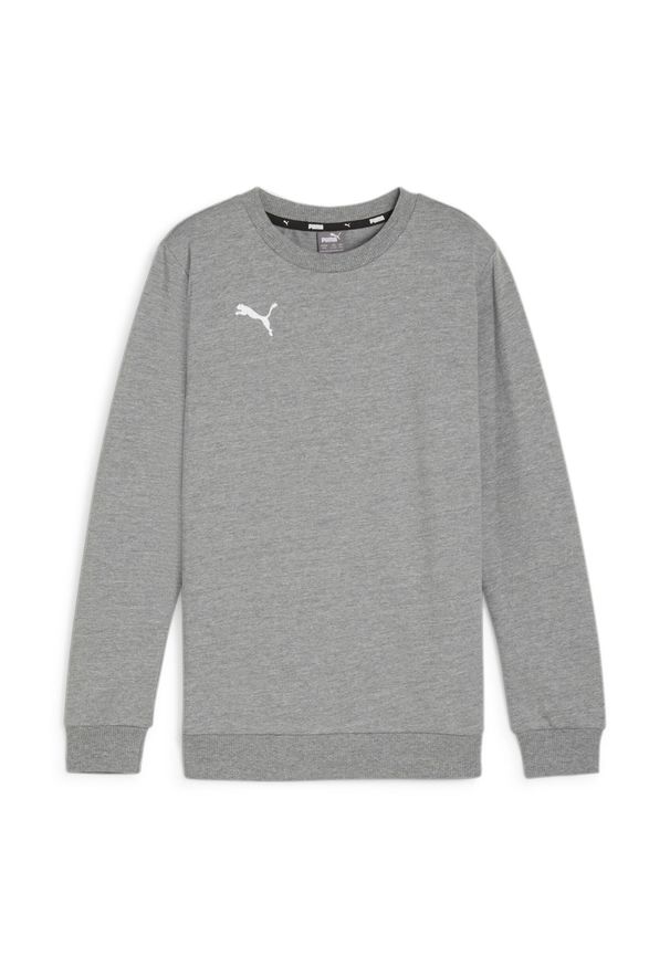 Bluza dziecięca Puma teamGOAL Casuals. Kolor: szary. Materiał: polar