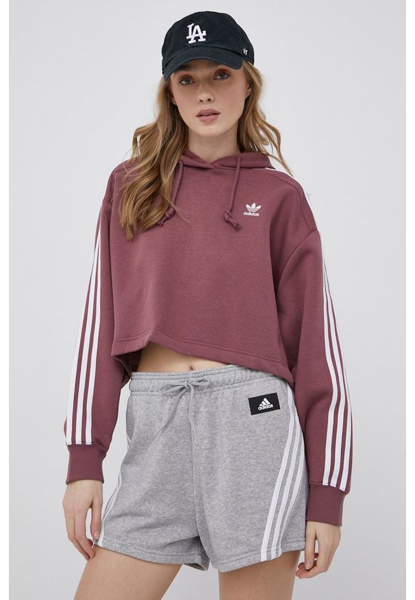 adidas Originals bluza damska kolor fioletowy z kapturem z aplikacją. Typ kołnierza: kaptur. Kolor: fioletowy. Materiał: materiał, poliester, bawełna, dzianina. Długość rękawa: długi rękaw. Długość: długie. Wzór: aplikacja