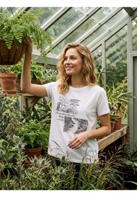 Sinsay - Bawełniana koszulka z napisem - biały. Kolor: biały. Materiał: bawełna. Wzór: napisy