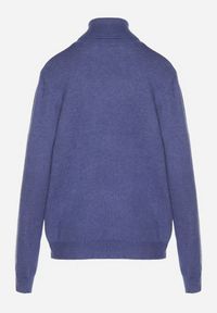 Born2be - Niebieski Klasyczny Golf z Wiskozą i Bawełną Lerella. Okazja: do pracy, na co dzień. Typ kołnierza: golf. Kolekcja: plus size. Kolor: niebieski. Materiał: wiskoza, bawełna. Styl: klasyczny