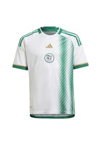 Adidas - Algeria 22 Home Jersey. Kolor: biały, wielokolorowy, zielony. Materiał: jersey