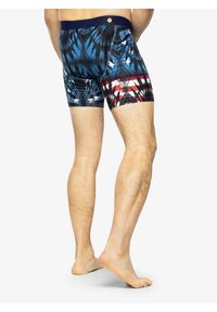 Bokserki termoaktywne Stance Banner Boxer Brief - blue M. Kolor: niebieski. Sport: turystyka piesza