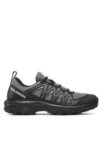 salomon - Salomon Trekkingi X Braze 471800 26 V0 Szary. Kolor: szary. Materiał: skóra. Sport: turystyka piesza