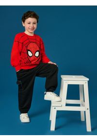 Sinsay - Bluza Spider-Man - czerwony. Kolor: czerwony. Długość: długie. Wzór: motyw z bajki