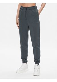 Calvin Klein Performance Spodnie dresowe 00GWS3P605 Zielony Regular Fit. Kolor: zielony. Materiał: dresówka, bawełna