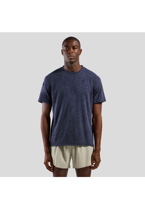 Koszulka męska Odlo ESSENTIAL LINENCOOL T-shirt. Kolor: niebieski