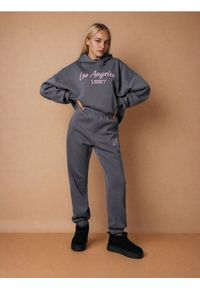 Sinsay - Spodnie jogger - szary. Kolor: szary