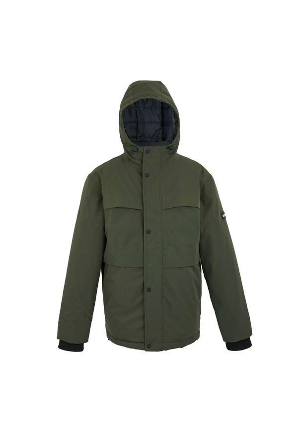 Regatta - Męska Kurtka Ocieplana Ronin II. Kolor: zielony. Sport: turystyka piesza