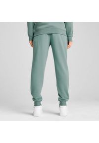 Puma - Spodnie męskie PUMA ESS No. 1 Logo Sweatpants TR CL. Kolor: zielony. Materiał: dresówka