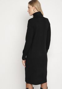 Born2be - Czarna Dzianinowa Sukienka z Bawełną o Prostym Kroju z Golfem Tesala. Okazja: do pracy, na spotkanie biznesowe. Typ kołnierza: golf. Kolor: czarny. Materiał: bawełna, dzianina. Wzór: jednolity. Typ sukienki: proste. Styl: biznesowy, klasyczny #4