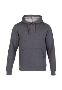 Bluza sportowa męska Joma Montana Hoodie. Typ kołnierza: kaptur. Kolor: szary. Materiał: bawełna, materiał