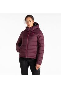 DARE 2B - Kurtka turystyczna damska Mountain Series pikowana. Kolor: fioletowy. Sport: bieganie #1