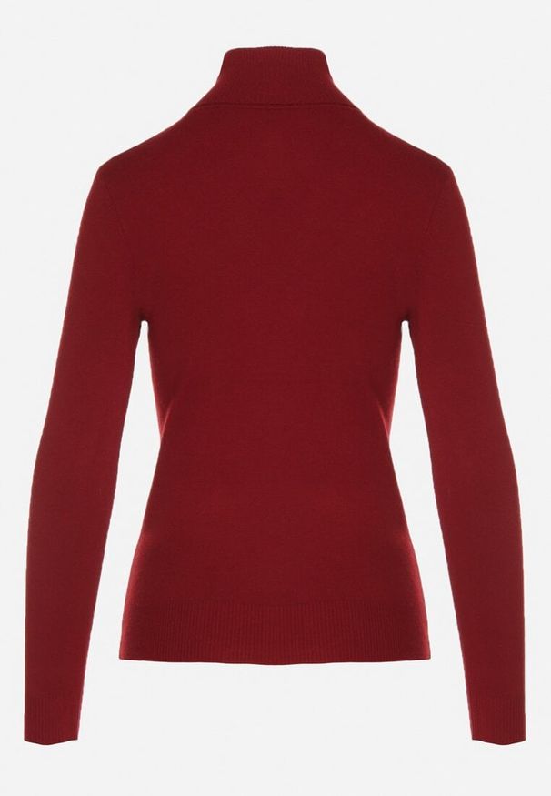 Born2be - Bordowy Klasyczny Golf z Bawełną Reilisea. Okazja: na co dzień. Typ kołnierza: golf. Kolor: czerwony. Materiał: bawełna. Styl: klasyczny