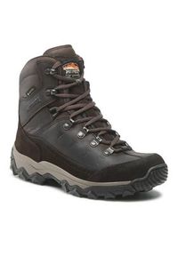 MEINDL - Meindl Trekkingi Rauris Lady Gtx GORE-TEX 7893 Brązowy. Kolor: brązowy. Materiał: skóra