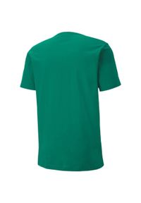 Koszulka do piłki nożnej męska Puma teamGOAL 23 Casuals Tee. Kolor: zielony