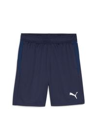 Szorty Puma TeamGOAL. Kolor: niebieski. Sport: fitness #1