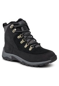 Timberland Trapery Mt. Maddsen Winter Wp Wl TB0A42TW0151 Czarny. Kolor: czarny. Materiał: skóra, nubuk #4