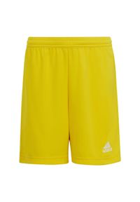 Adidas - Spodenki piłkarskie dla dzieci adidas Entrada 22. Kolor: żółty. Styl: sportowy #1