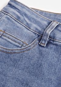 Renee - Niebieskie Jeansy Wide Leg High Waist z Bawełną i Dodatkiem Wiskozy Salithoe. Stan: podwyższony. Kolekcja: plus size. Kolor: niebieski #2