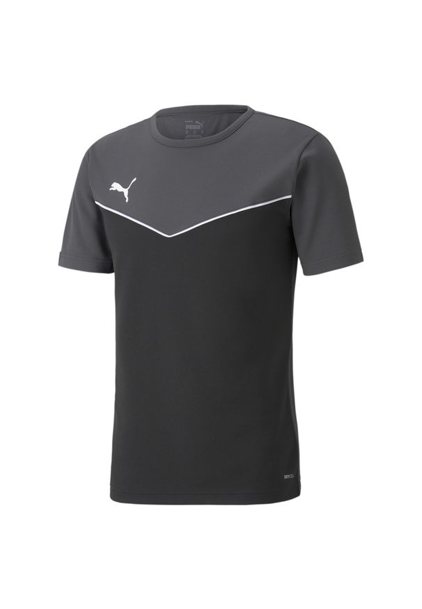 Koszulka z krótkim rękawem Męska Puma individualRISE Czarny. Kolor: wielokolorowy, czarny, szary. Długość rękawa: krótki rękaw. Długość: krótkie