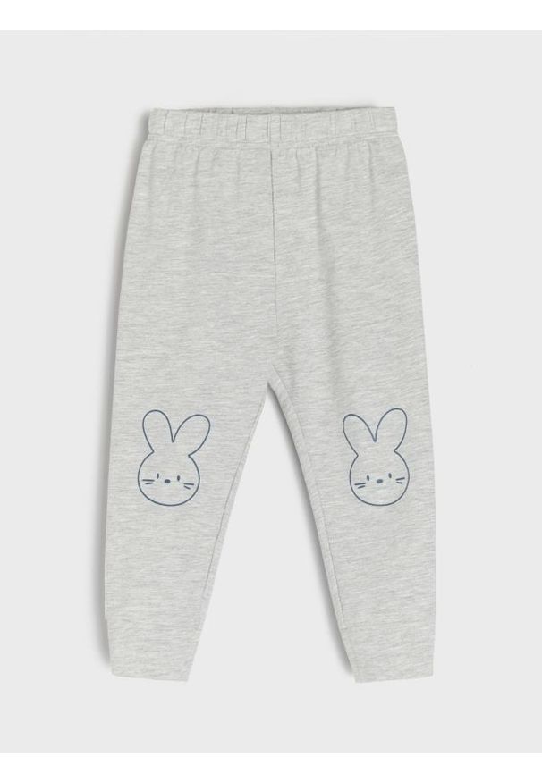 Sinsay - Spodnie dresowe jogger - szary. Kolor: szary. Materiał: dresówka