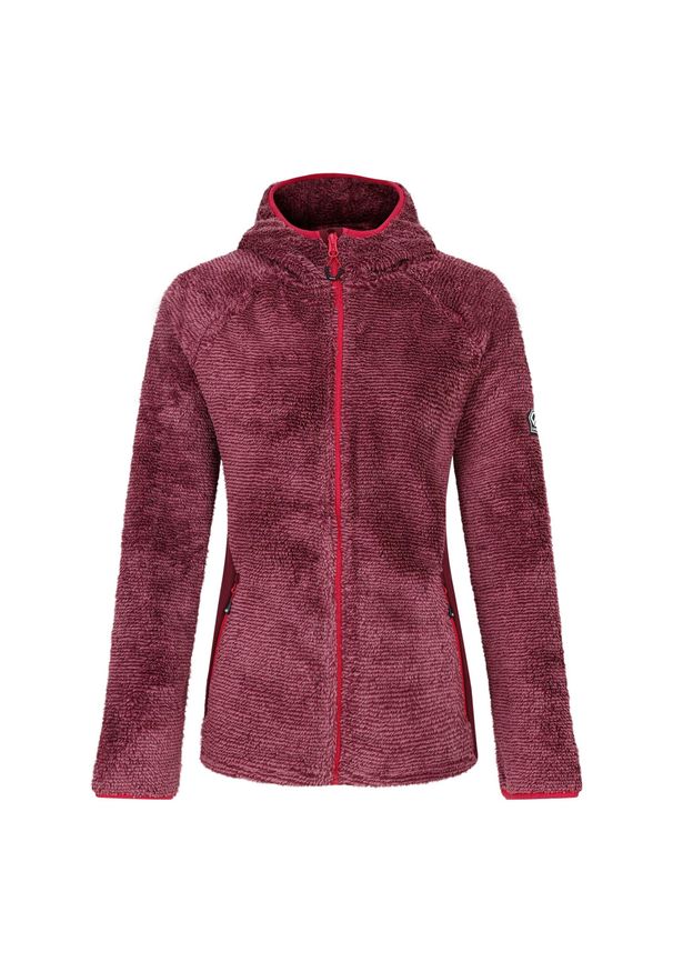 DARE 2B - Damska Warstwa Środkowa Torrek Mountain Pro Midlayer. Kolor: fioletowy. Styl: sportowy. Sport: turystyka piesza