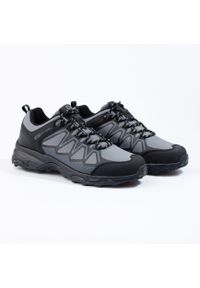 Męskie buty trekkingowe DK szare czarne. Kolor: wielokolorowy, czarny, szary. Materiał: materiał