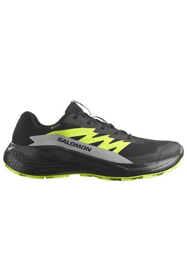 salomon - Buty do biegania męskie Salomon Alphaglide Gtx. Zapięcie: sznurówki. Kolor: czarny. Materiał: syntetyk, materiał, tkanina. Szerokość cholewki: normalna. Sport: bieganie