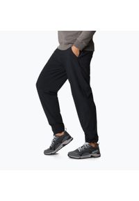 columbia - Spodnie trekkingowe damskie Columbia Pleasant Creek Warm Jogger. Kolor: czarny