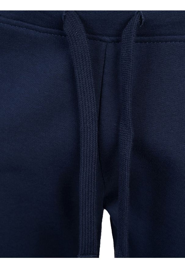North Sails Spodnie | 90 3204 000 | Sweatpant W | Mężczyzna | Granatowy. Okazja: na co dzień. Kolor: niebieski. Materiał: bawełna. Wzór: nadruk. Styl: casual
