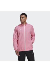 Adidas - Entrada 22 Presentation Jacket. Kolor: różowy. Materiał: materiał. Sport: piłka nożna
