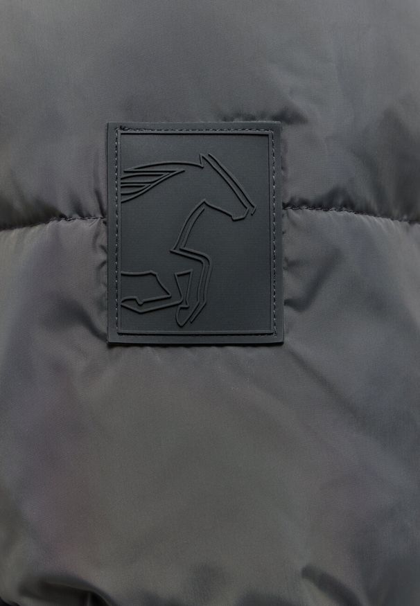 Mustang - MUSTANG Oakfield MĘSKA KURTKA ZIMOWA LOGO Pirate Black 1015607 4088. Sezon: zima