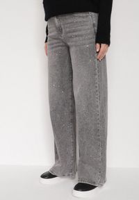 Born2be - Szare Szerokie Jeansy z Wysokim Stanem Zdobione Błyszczącymi Drobinami Isabela. Okazja: na co dzień. Stan: podwyższony. Kolor: szary. Wzór: aplikacja. Styl: casual, elegancki, klasyczny #1