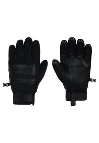 Rękawice narciarskie męskie Quiksilver Squad. Kolor: czarny. Materiał: poliester, skóra. Sezon: zima. Sport: narciarstwo #1
