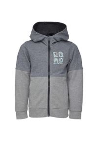 ŠIJEME SRDCEM - Bluza dziecięca LOAP ECMAR BLU 116. Kolor: szary, czarny, niebieski, wielokolorowy #1